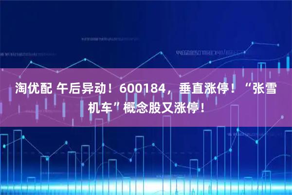 淘优配 午后异动!600184,垂直涨停!“张雪机车”概念股又涨停!