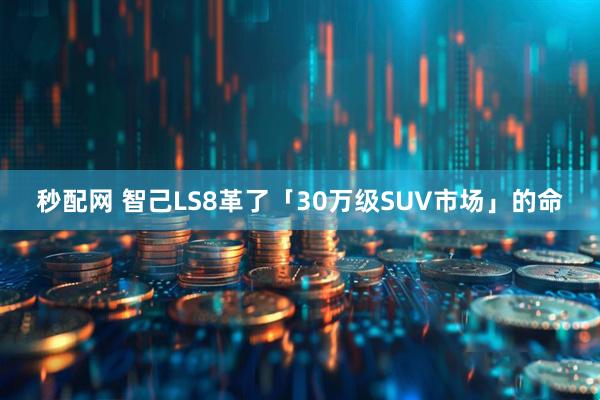 秒配网 智己LS8革了「30万级SUV市场」的命